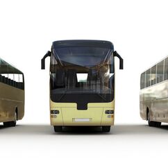 Busreisen Von 4th Life Photography
