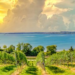 Donaueschingen, Baden Württemberg, Deutschland Von Sina Ettmer