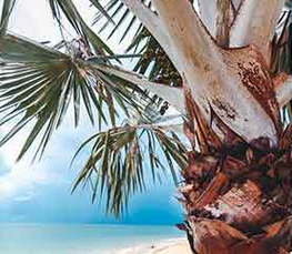 Reisen mit LMX Touristik - Urlaub online buchen