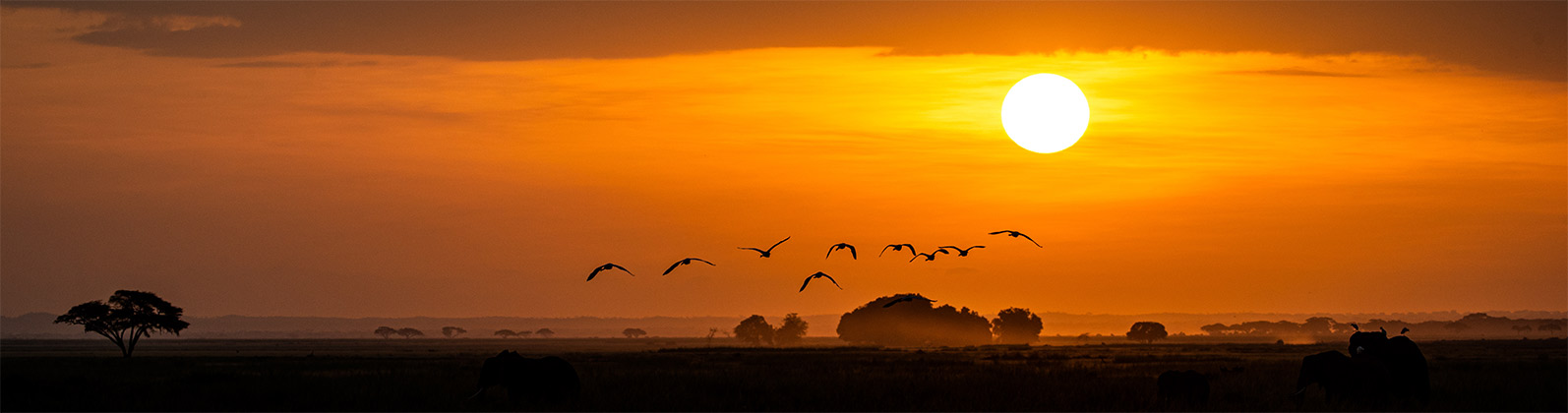 Servicepoint-Reisen.de – Afrika Reise buchen