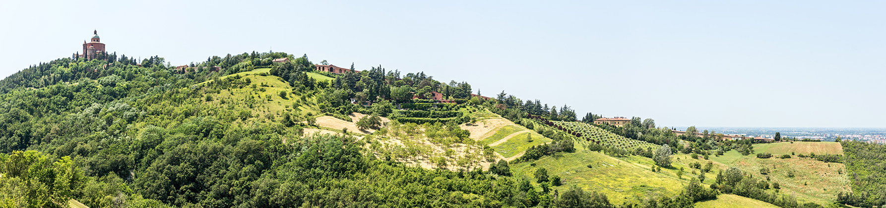 Reise  buchen